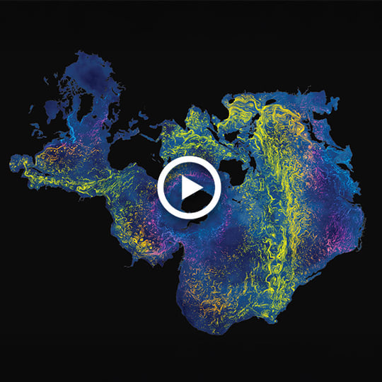 It's an ocean world video