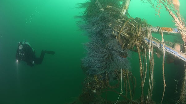 A scuba diver approaches the beams of a shipwreck that are covered in ropes 