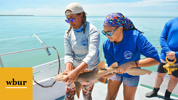 Jaida Elcock and a nurse shark