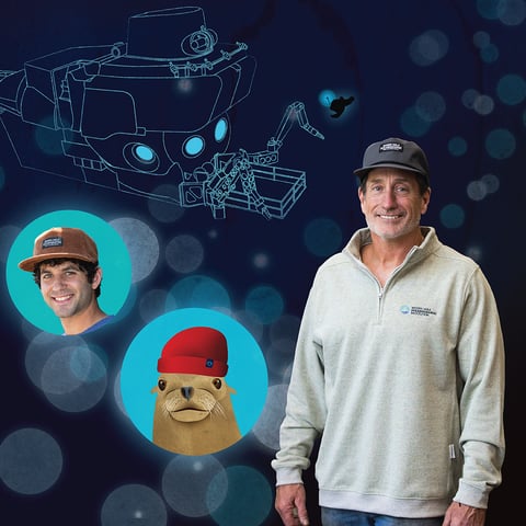 Fall in love with our fall collection 🌊 🍁