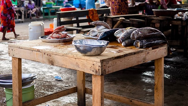 Developing nations reel in more nutrition with seafood imports