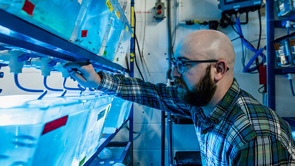 Apply for a WHOI Postdoctoral Scholarship