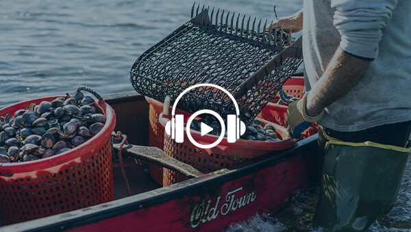 Listen: Puzzling over a mollusk mystery