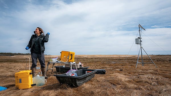 Cold, quiet, and carbon-rich: Investigating winter wetlands