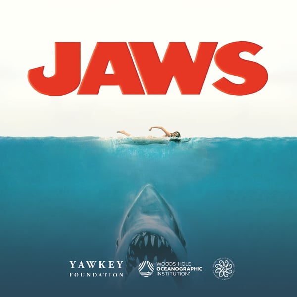 CRE06877-25672200-Yawkey Summer Series 2026-Jessica Costello-Review-IN HOUSE13