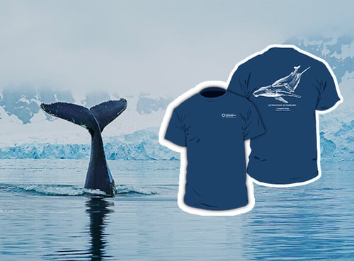Make an Earth Week Gift