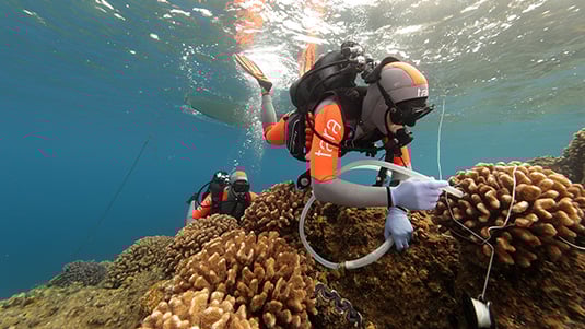 Two scuba divers hover over an outcrop of coral in shallow water with the hull of small boat in the background. The diver in the foreground is holding a tube in gloved hands to take a water sample centimeters away from live coral.