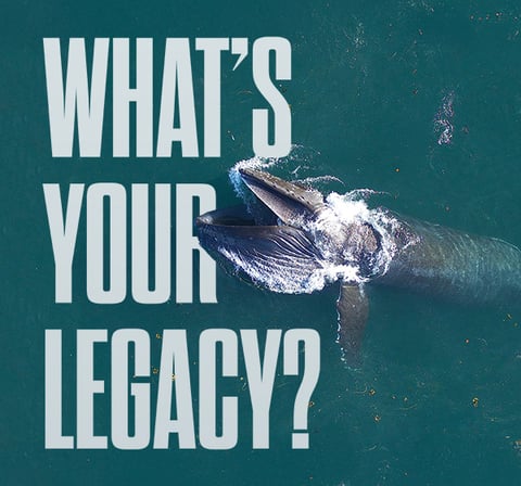 Leaving a lasting legacy for ocean science