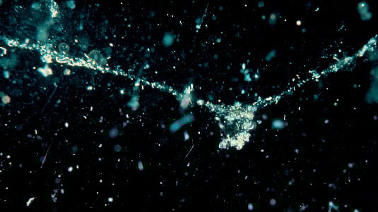 Did you know: Where does all the carbon go?