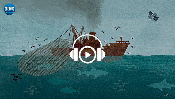 Listen: As illegal fishing rages on, is there any hope on the horizon?