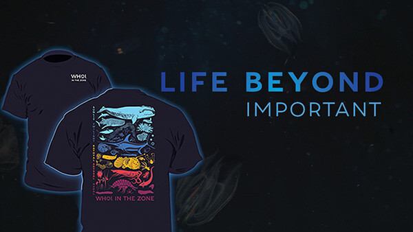 Life Beyond_Social Banner_Title Only_Facebook_Important