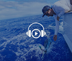 Listen: Tracking big fish at fine scales