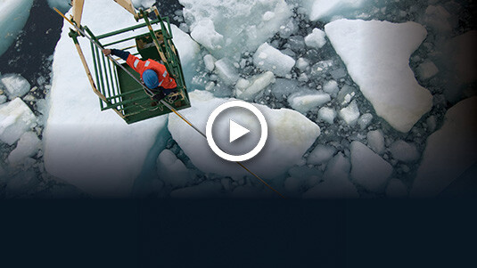 Watch the latest episode of Ocean Encounters: Ice!