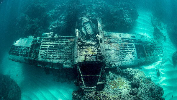 Did You Know: How do wrecks impact marine life?