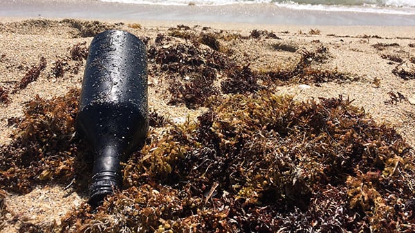 Oil traveled on top of ocean plastic to Florida beaches