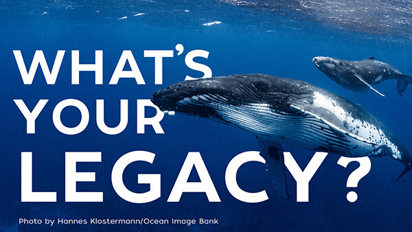 Planned Giving_Whats your Legacy