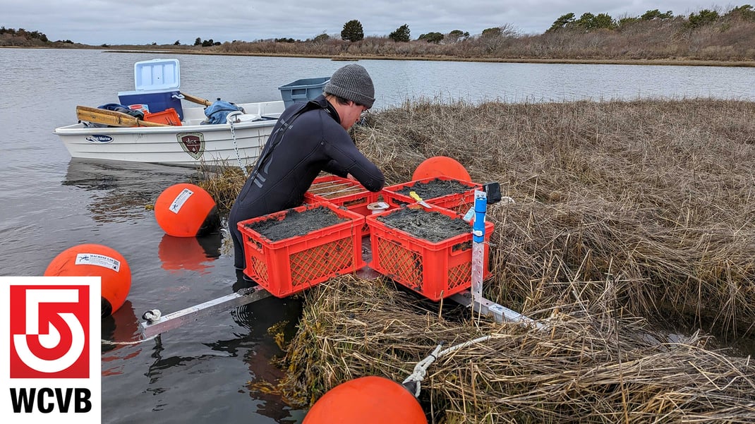 A photo showing a young man in a wetsuit and a beanie tends to a bale of seagrasses amid a coastal water way. A small dinghy and a set of bright red floats surround him.