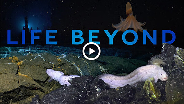 Screenshot 2024-06-06 at 10.48.19 AM