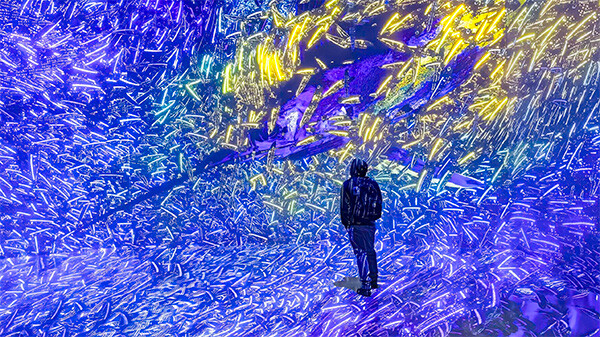 Artechouse x WHOI present "Twilight Zone: Hidden Wonders of the Ocean"