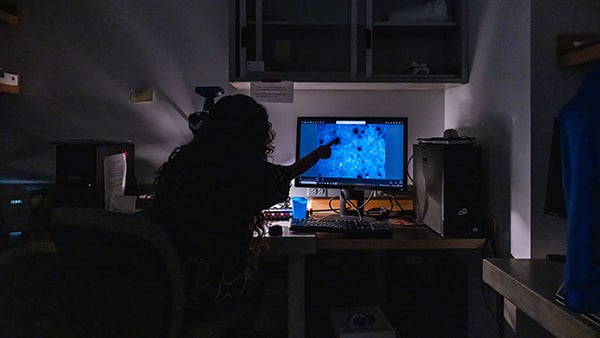 Secrets from the Blue Mud