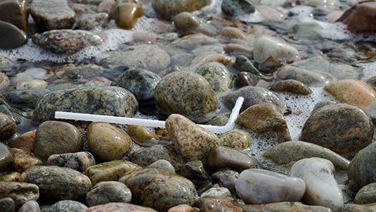 Oceanus: Breaking down plastics together