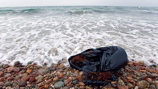 New report links plastic pollution to rising global health risks