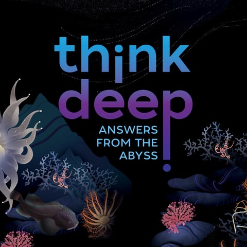 A promotional ad that reads "think deep, answers from the abyss." In the lower third of the image are illustrations of deep-sea corals, anemone, rocks, brittle starfish, and sea fans