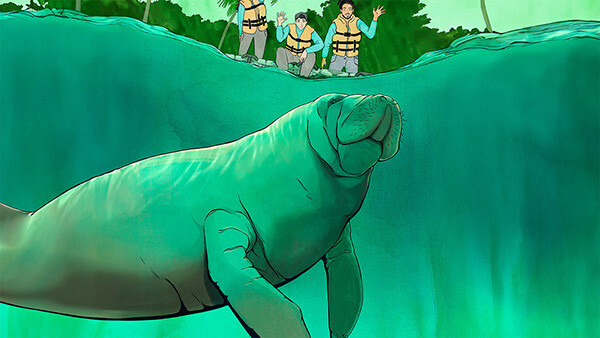 Saving Tico the Manatee