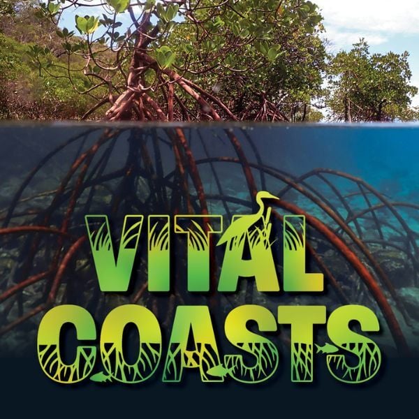 A split-view of a mangrove above and below the water with foliage in the background and the words "Vital Coasts" in the foreground.