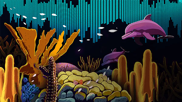 Did you know: How do marine animals hear?