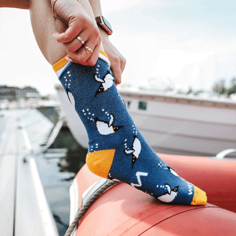 Shop WHOI's sock collection!