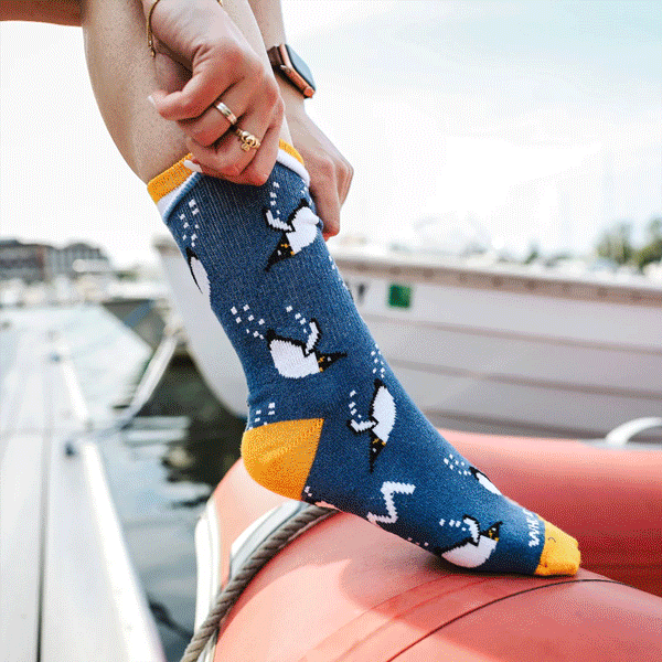 Shop WHOI's sock collection