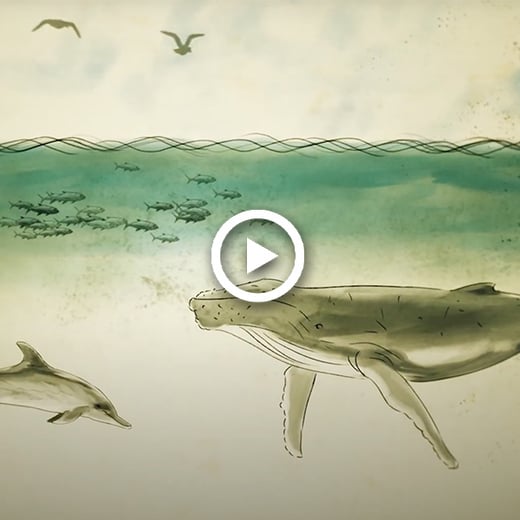 What fuels New England's fi