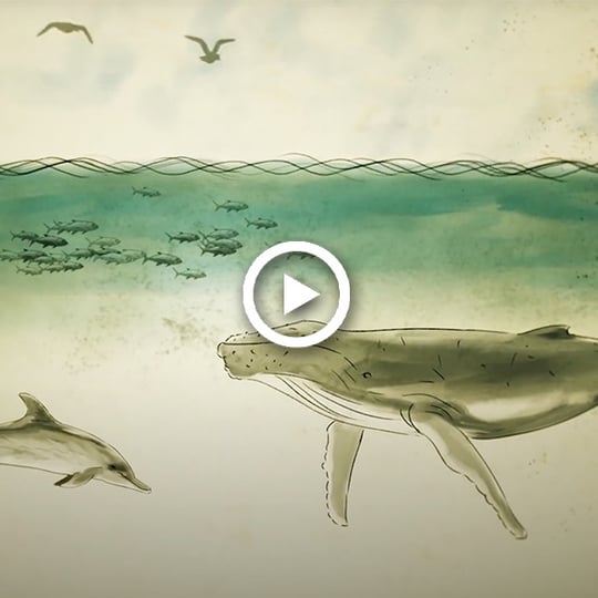 What fuels New England's fisheries?