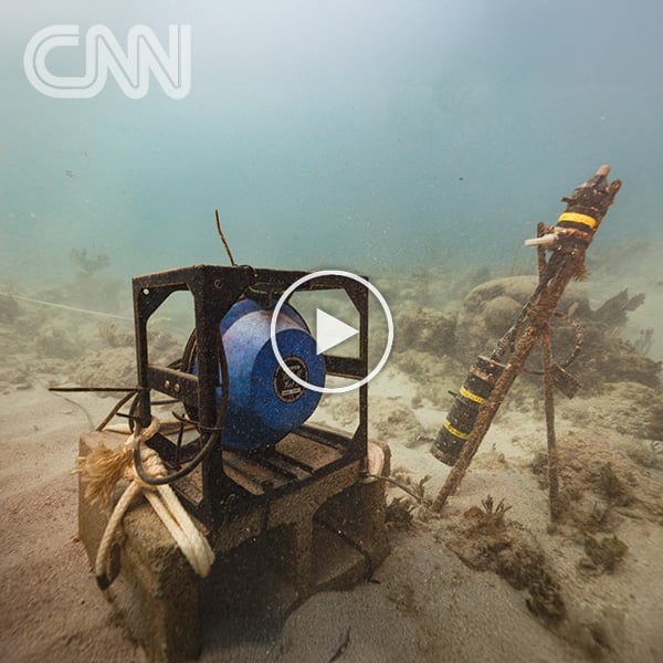 CNN Video: Reef music could help coral restoration in Maui