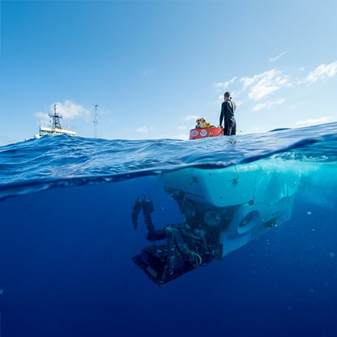 Become a WHOI member to support ocean science