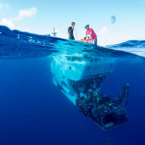 Become a member to support ocean science