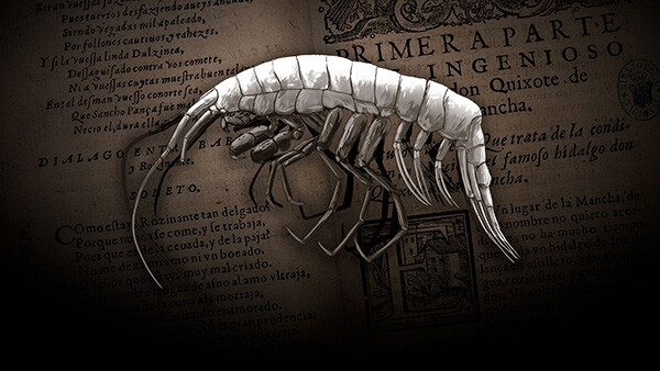 Deep-sea amphipod name inspired by medieval English literature