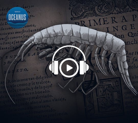 Deep-sea amphipod name inspired by literary masterpiece
