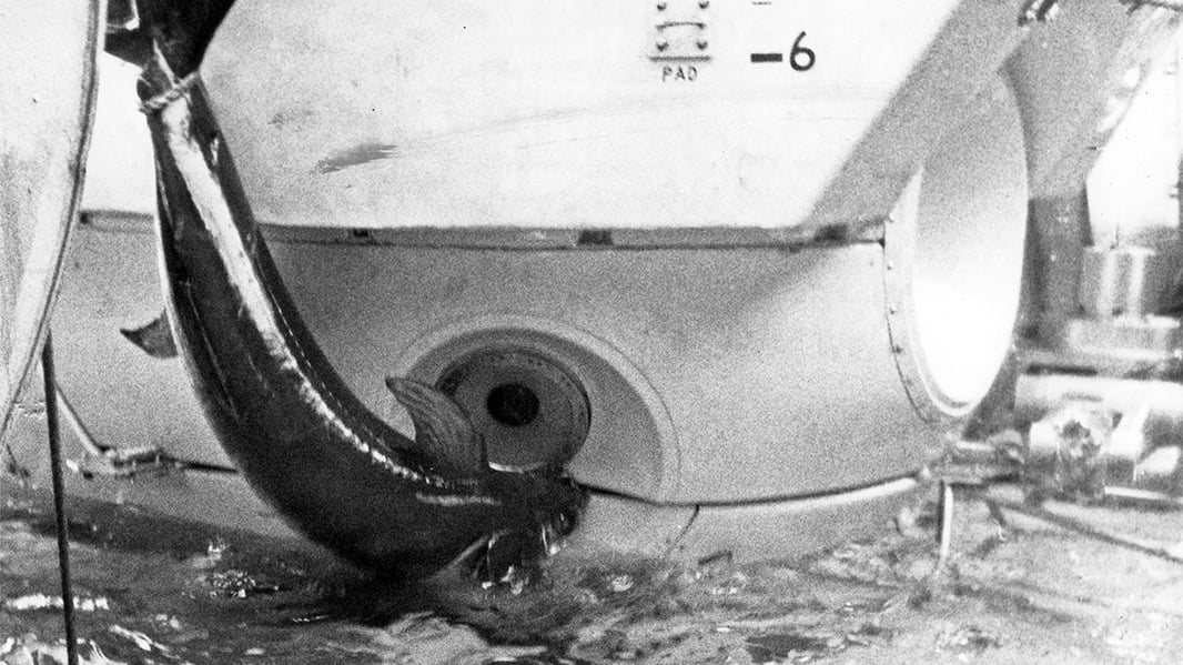 A film photo showing a close-up of HOV Alvin coming out of the water. A swordfish has lodged its sword in between the sub's foam blocks. The fish's tail is secured with a tight rope.
