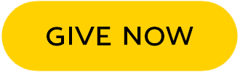 Button: Give Now