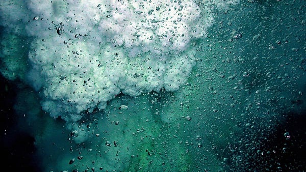 What is the carbon cycle?