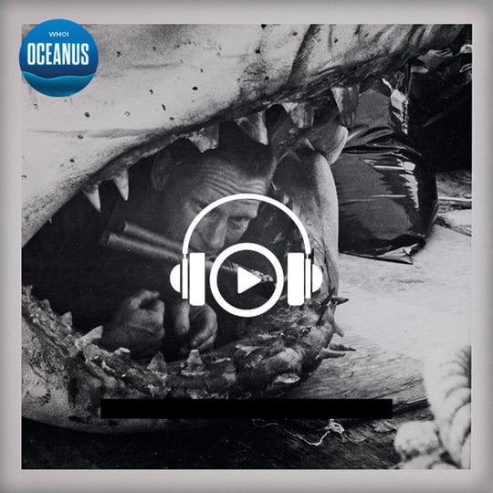 Oceanus Podcast: Behind the blast
