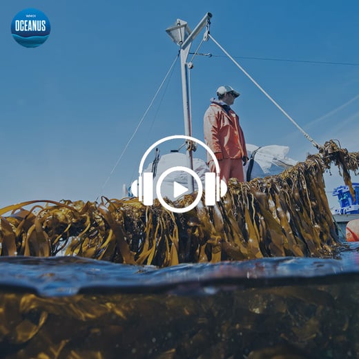 Harnessing the ocean to power transportation