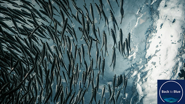 lance-anderson-G2SDLsJp3rg-unsplash (1)