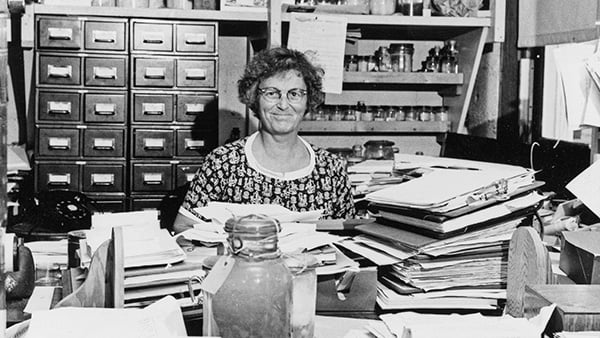 Mary Sears and the race to solve the ocean in World War II