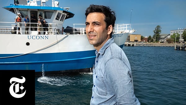 The scientists making antacids for the sea