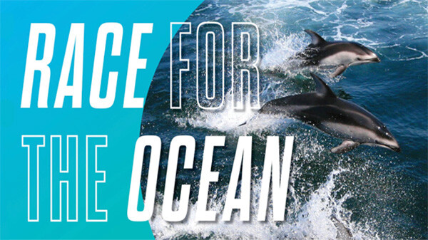 Support Team WHOI at the Falmouth Road Race