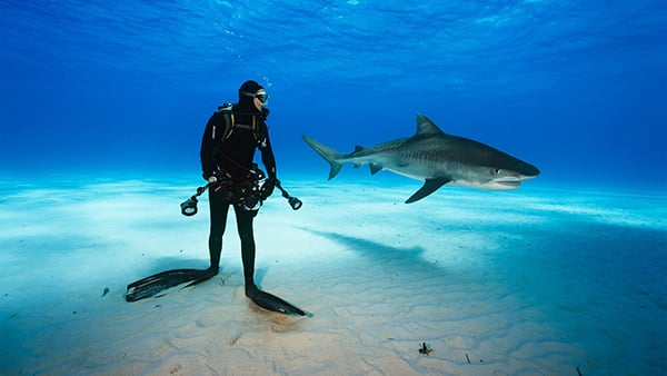 Lessons from a lifetime of exploration