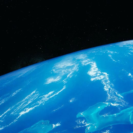 A win for the ocean: The High Seas Treaty, ratified!